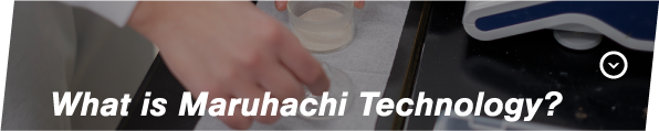 What is Maruhachi Technology?