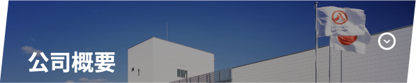 公司概要